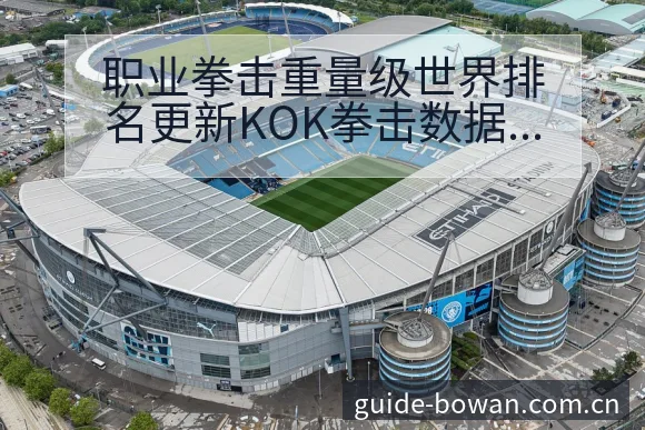 职业拳击重量级世界排名更新KOK拳击数据对比与趋势观察分 - 博万体育