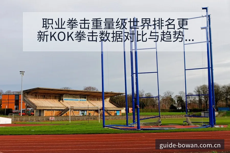 职业拳击重量级世界排名更新KOK拳击数据对比与趋势观察分 - 博万体育