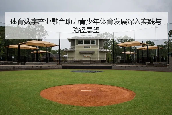 体育数字产业融合助力青少年体育发展深入实践与路径展望
